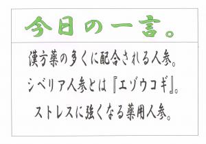 Scan0033