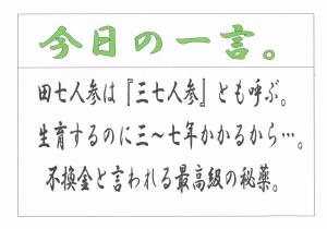 Scan0034