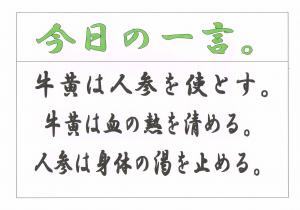 Scan0037