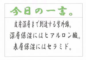 Scan0040