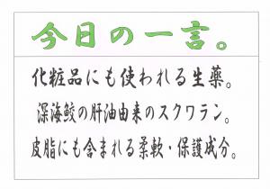 Scan0044