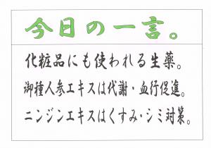 Scan0045