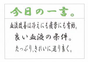 Scan0048