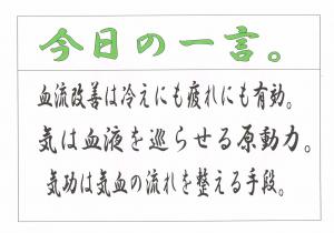 Scan0050