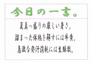 Scan0059