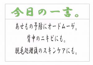 Scan0062
