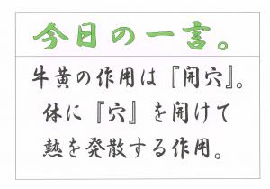 Scan0065