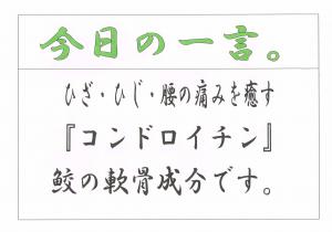 Scan0066