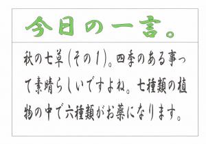 Scan0077