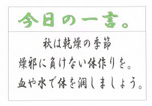 Scan0079