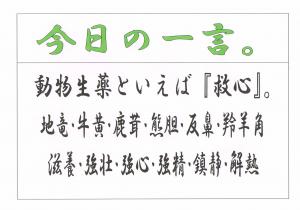 Scan0080