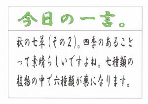 Scan0081