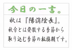 Scan0083