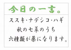 Scan0086