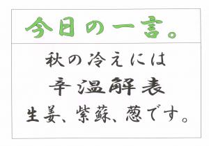 Scan0087
