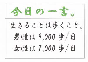 Scan0097