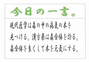 Scan0099