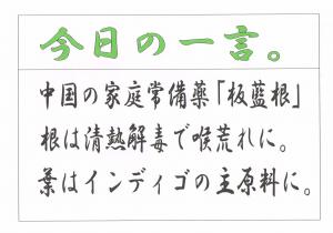 Scan0111