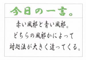 Scan0113