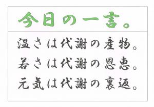 Scan0121