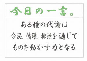 Scan0116