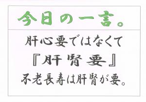 Scan0124