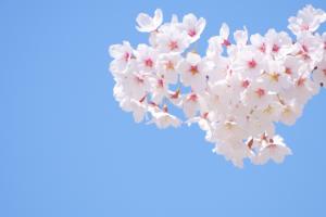 a7742024d00fa395af1337ab56e8bc18_s
