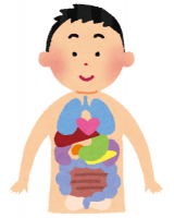 body_naizou