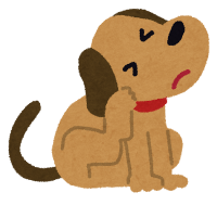 pet_kayui