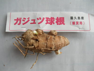 P6044933