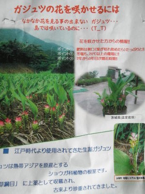P6054948