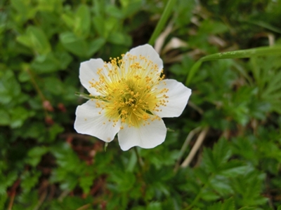 ファイル名: CIMG0054-2.jpg
ファイルサイズ: 98.6KB CIMG0054-2