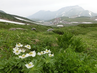 ファイル名: CIMG0140-2.jpg
ファイルサイズ: 128.7KB CIMG0140-2