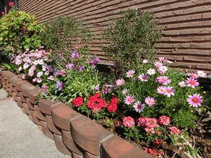 ファイル名: CIMG2518-2.jpg
ファイルサイズ: 106.1KB CIMG2518-2