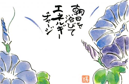 ファイル名: NONALNUM-57W15omL57SZMjAxOS44LjY-E.jpg
ファイルサイズ: 29.7KB NONALNUM-57W15omL57SZMjAxOS44LjY-E