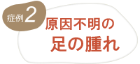 相談の多い症状・分野2