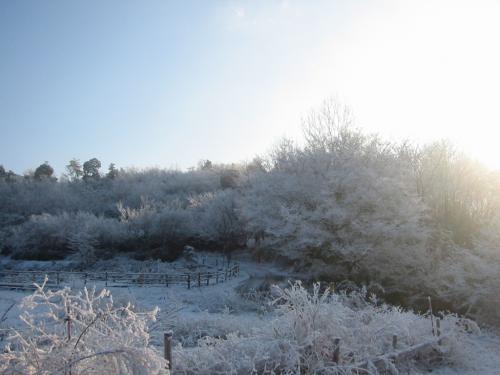 20130118009