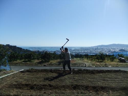 ファイル名: DSCF5328.jpg
ファイルサイズ: 25.7KB DSCF5328