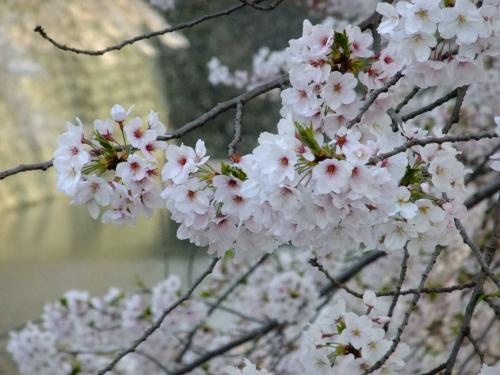 ファイル名: NONALNUM-6Ieo5pmC5LyR5qWt-E.jpg
ファイルサイズ: 33.8KB NONALNUM-6Ieo5pmC5LyR5qWt-E