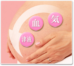 ファイル名: funin_img03.jpg
ファイルサイズ: 21.5KB 気・血・津液