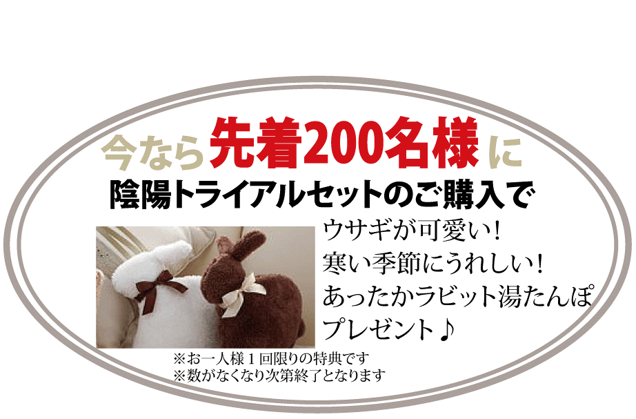 あったかラビット湯たんぽ