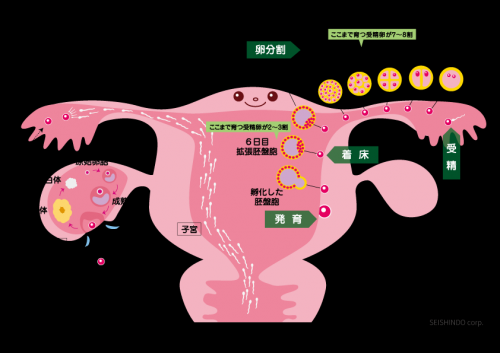 ファイル名: NONALNUM-5a2Q5a6d44K144OdcDUtMS7lporlqKDmiJDnq4vjga7mtYHjgoxhaQ-E.png
ファイルサイズ: 88.6KB NONALNUM-5a2Q5a6d44K144OdcDUtMS7lporlqKDmiJDnq4vjga7mtYHjgoxhaQ-E
