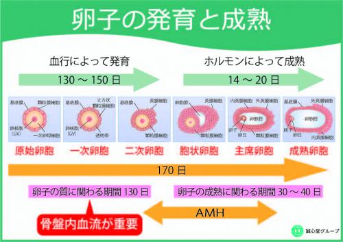 ファイル名: NONALNUM-5Y216IOe5oiQ54af44Go5Y215a2Q55m66IKy44Gu6YGO56iL-E.jpg
ファイルサイズ: 34.7KB NONALNUM-5Y216IOe5oiQ54af44Go5Y215a2Q55m66IKy44Gu6YGO56iL-E