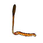 NONALNUM-dG1f5Yas6Jmr5aSP6I2J-E