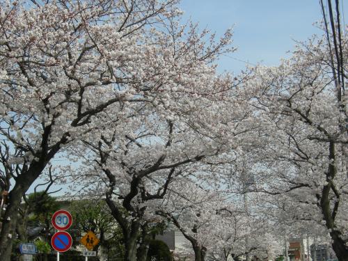 ファイル名: 2013005.jpg
ファイルサイズ: 58.3KB 2013005