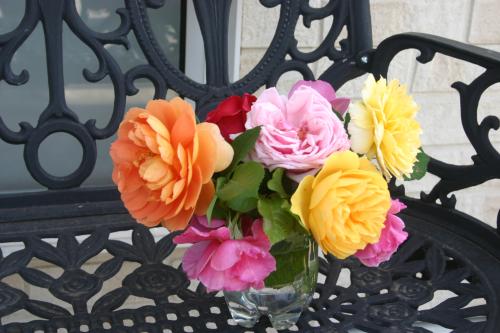 IMAGE045