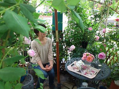rosetherapy