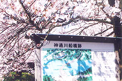 ファイル名: 20140411a.jpg
ファイルサイズ: 91.5KB さくら