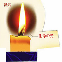 ファイル名: karatubaki1804c.jpg
ファイルサイズ: 14KB :山本漢薬店